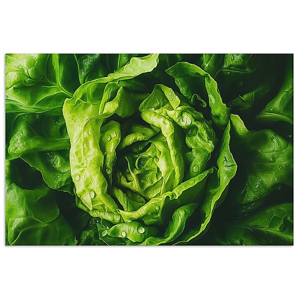 MuchoWow Poster Gemüse - Kopfsalat - günstig online kaufen