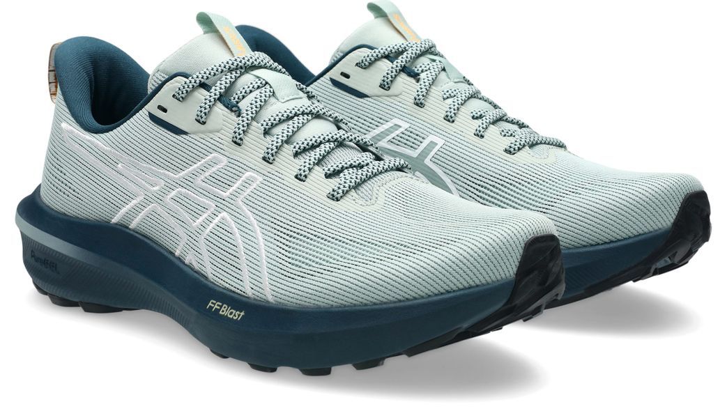 Asics GT-1000 14 TR Laufschuh für günstig online kaufen