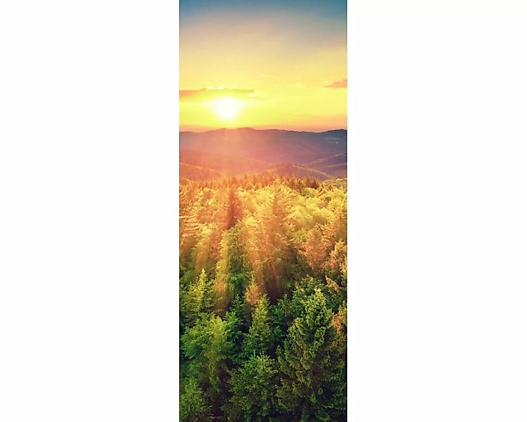 Dekopanel "Sonne Tannen" 1,00x2,50 m / selbstklebende Folie günstig online kaufen