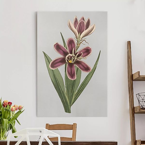 Leinwandbild - Hochformat Florale Schmuckstücke II günstig online kaufen