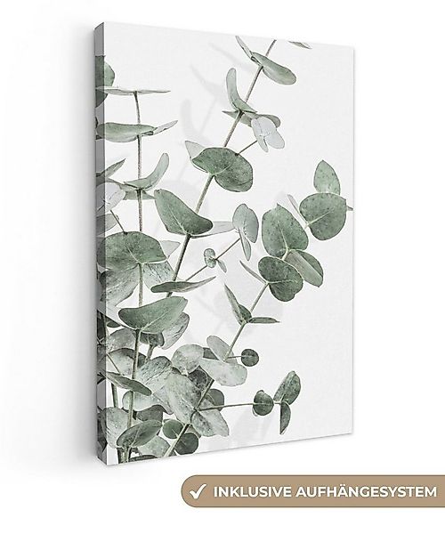 OneMillionCanvasses® Leinwandbild Eukalyptus - Blätter - Natur - Grün, Foto günstig online kaufen