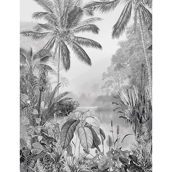 Komar Fototapete Vlies Lac Tropical Black & White  200 x 280 cm günstig online kaufen