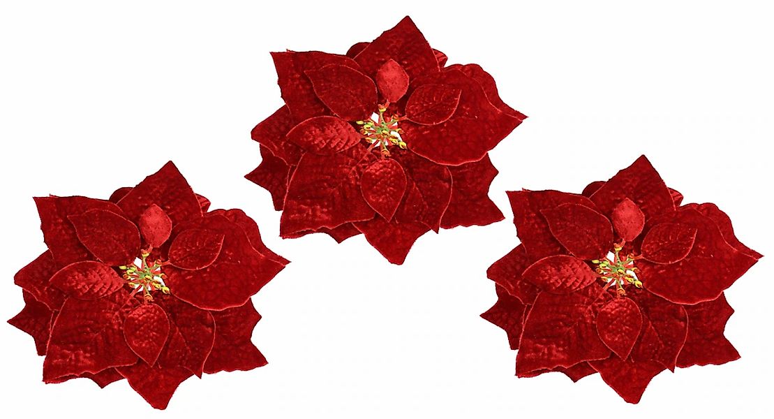I.GE.A. Kunstblume "Samt-Poinsettia" auf Clip, 3er Set Dekoblume Christster günstig online kaufen