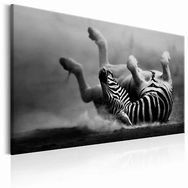 artgeist Wandbild Fun in the Dust schwarz/weiß Gr. 60 x 40 günstig online kaufen