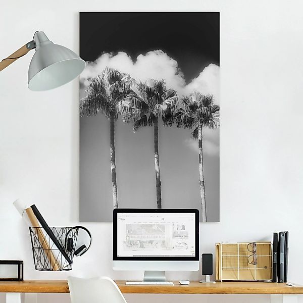 Leinwandbild Palmen vor Himmel Schwarz-Weiß günstig online kaufen