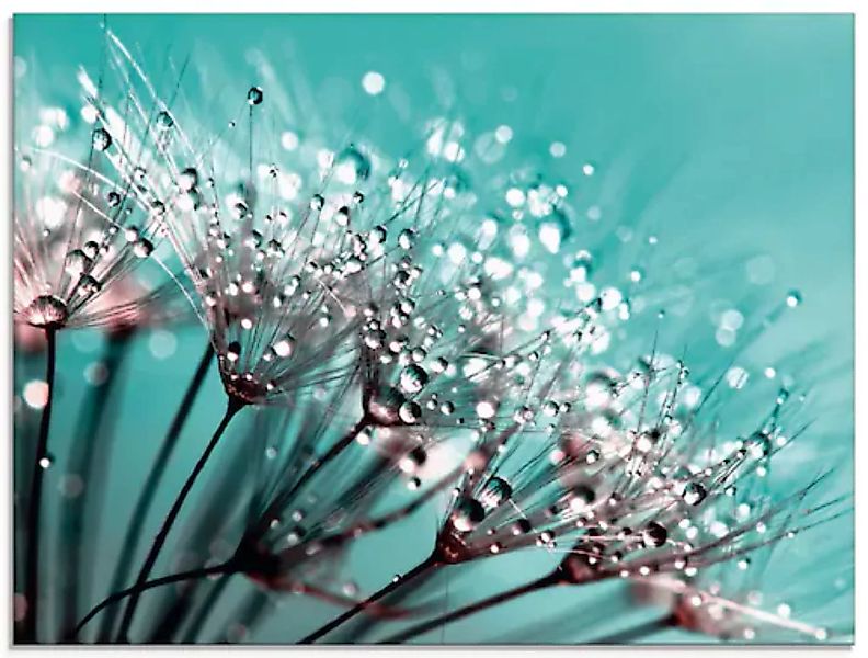 Artland Glasbild "Glitzernde Pusteblume I", Blumen, (1 St.), in verschieden günstig online kaufen