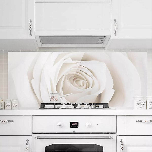 Glas Spritzschutz Blumen - Panorama Pretty White Rose günstig online kaufen