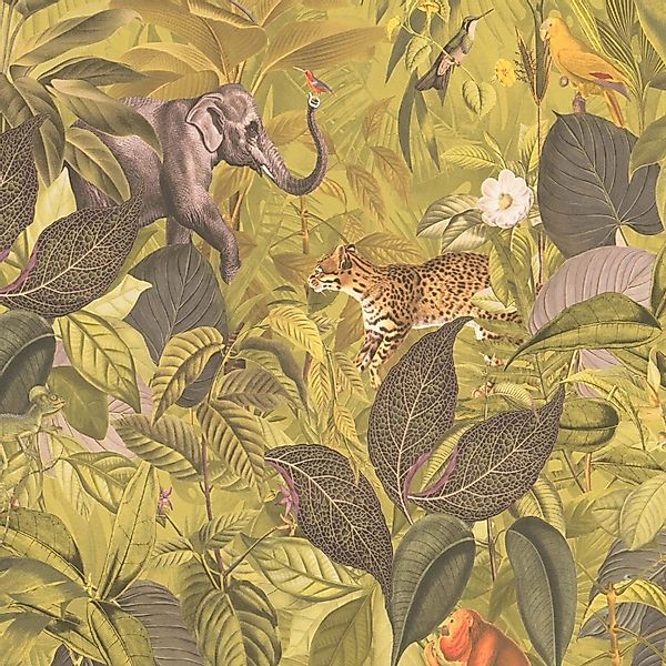 Bricoflor Dschungel Tapete Olivgrün mit Tieren Regenwald Vliestapete mit Le günstig online kaufen
