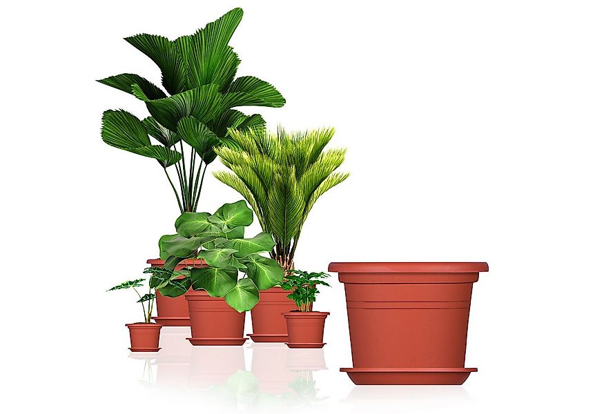 BigDean Blumentopf mit Untersetzer Kunststoff rund (3 St) günstig online kaufen