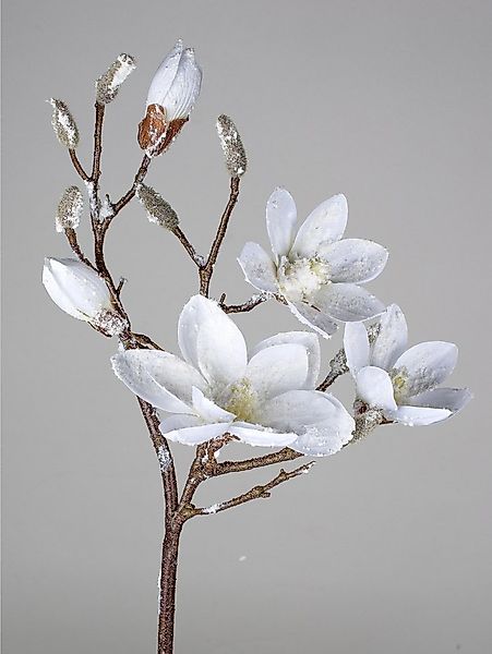 Kunstblume, formano, Höhe 88 cm, Farbe: Weiß, Motiv: Magnolie günstig online kaufen