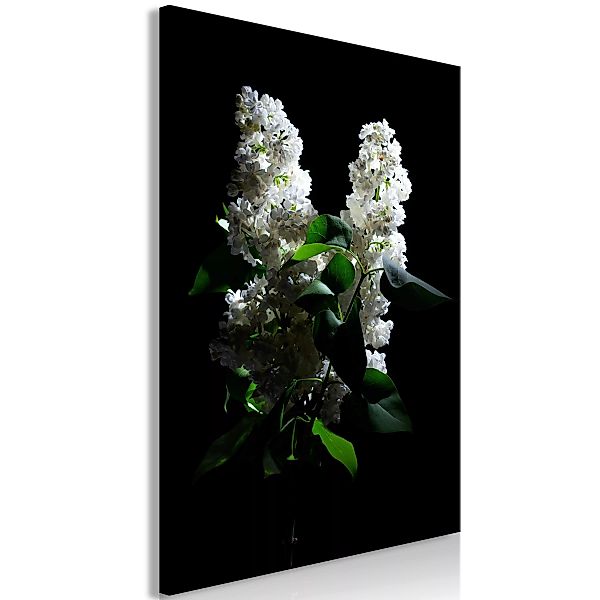 Wandbild - Lilacs at Night (1 Part) Vertical günstig online kaufen