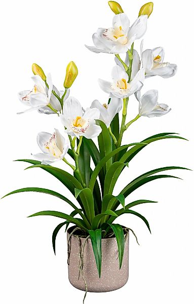 Kunstorchidee Orchidee Cymbidie Orchidee, Creativ green, Höhe 58 cm, mit tr günstig online kaufen