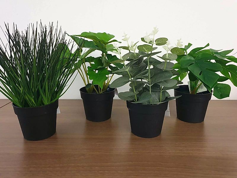 Boltze Kunstpflanzen & -blumen Topfpflanze sortiert grün 23 cm (grün) günstig online kaufen