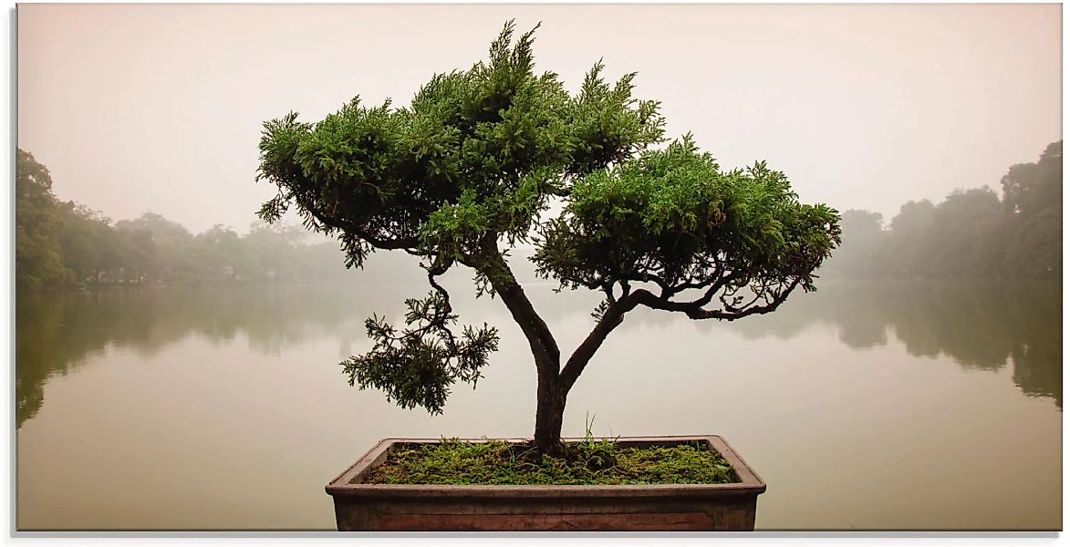 Artland Glasbild "Chinesischer Bonsaibaum", Bäume, (1 St.), in verschiedene günstig online kaufen