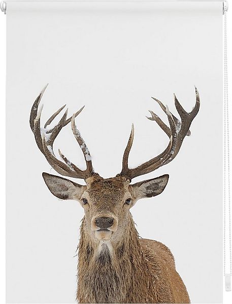 Seitenzugrollo Klemmfix Motiv Hirsch, LICHTBLICK ORIGINAL, Lichtschutz, ohn günstig online kaufen