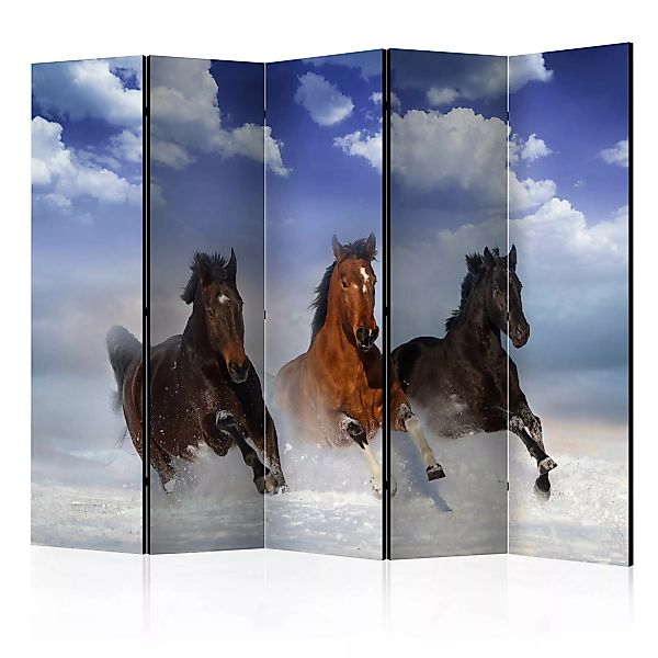 5-teiliges Paravent - Horses In The Snow Ii [room Dividers] günstig online kaufen