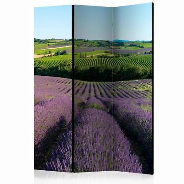 artgeist Paravent Lavender fields [Room Dividers] mehrfarbig Gr. 135 x 172 günstig online kaufen