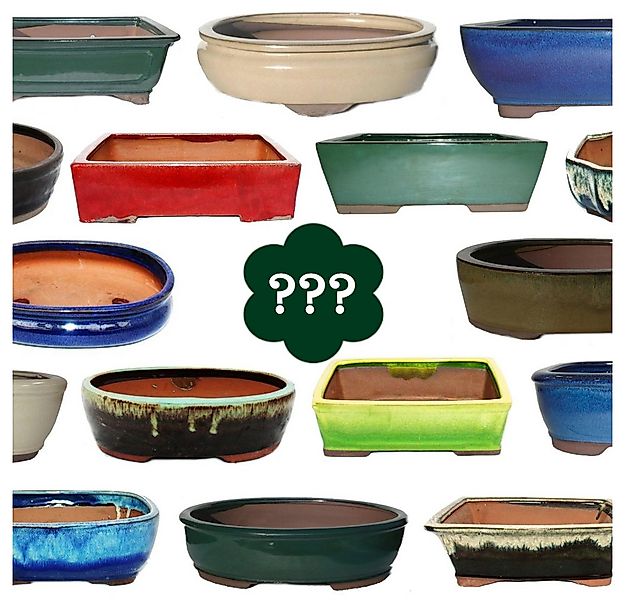 Exotenherz Pflanzschale Bonsai-Schale Größe 1 SONDERPOSTEN Zufallsform/Farb günstig online kaufen