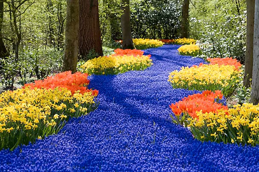 Papermoon Fototapete »Spring Flowers« glatt günstig online kaufen