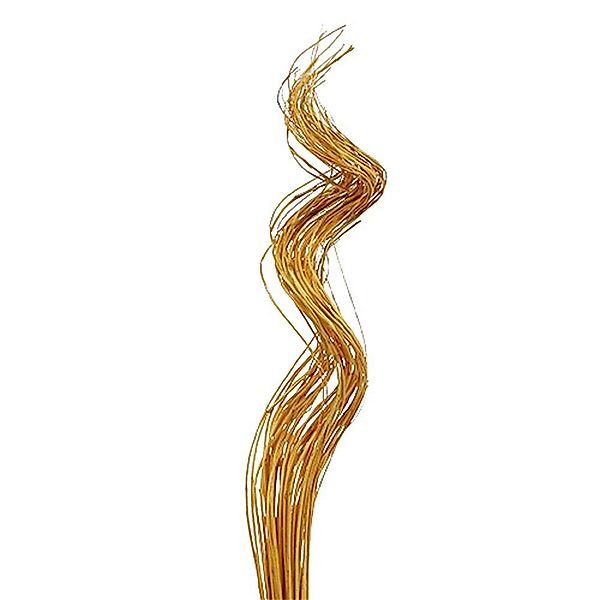 Trockenblume Ting Ting Curly 60cm goldgelb günstig online kaufen
