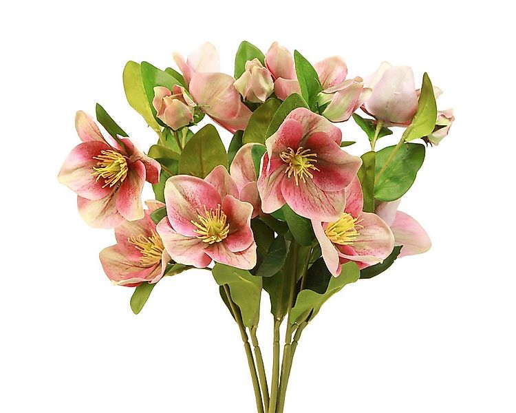 Winterliche Kunstpflanze Eleganter künstlicher Strauß Rosa Christrosen – 35 günstig online kaufen