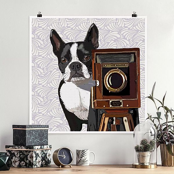 Poster - Quadrat Tierfotograf Terrier günstig online kaufen