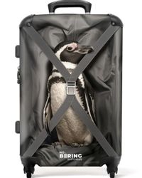 NoBoringSuitcases.com© Hartschalen-Trolley mit leuchtende Räder - günstig online kaufen