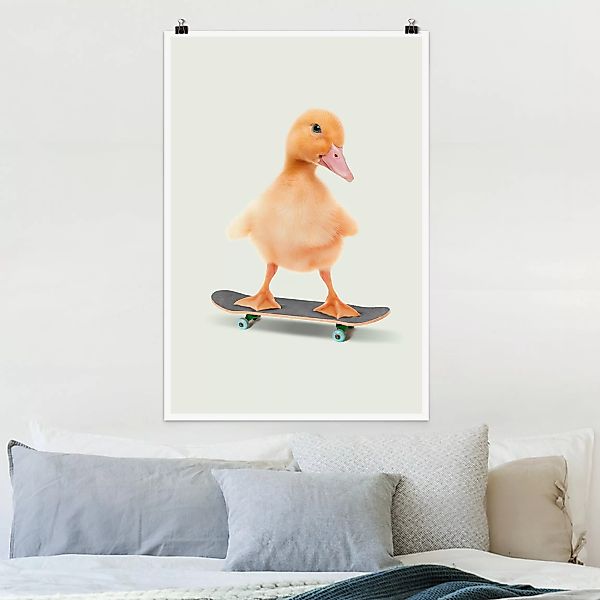 Poster Skate Ente günstig online kaufen