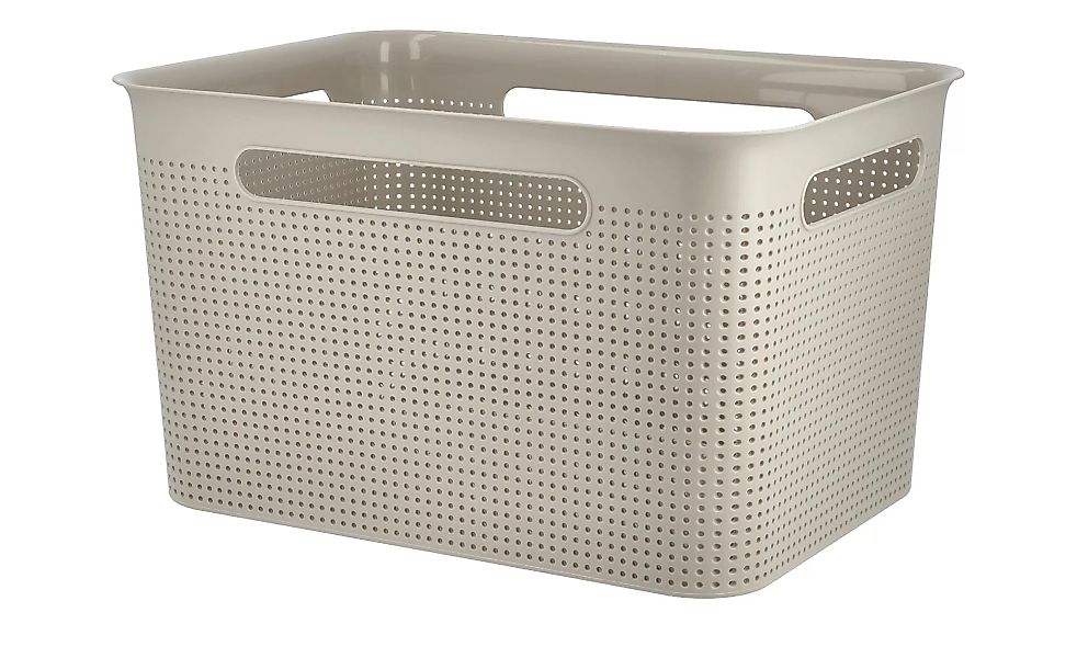 Rotho Aufbewahrungsbox - beige - Kunststoff - 36 cm - 21 cm - 26 cm - Scont günstig online kaufen