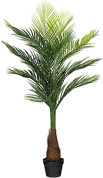 Kunstpalme Goldfruchtpalme Goldfruchtpalme, Creativ green, Höhe günstig online kaufen