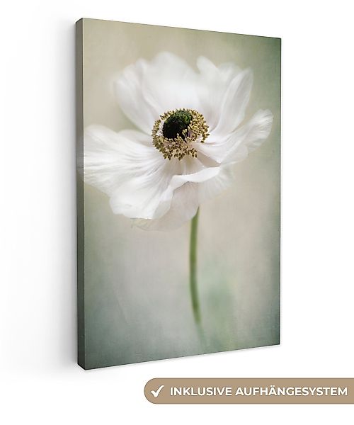 OneMillionCanvasses® Leinwandbild Blumen - Natur - günstig online kaufen