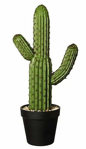 ASA Kunstpflanzen & -blumen Kaktus Sagura im Topf grün 41 cm (grün) günstig online kaufen
