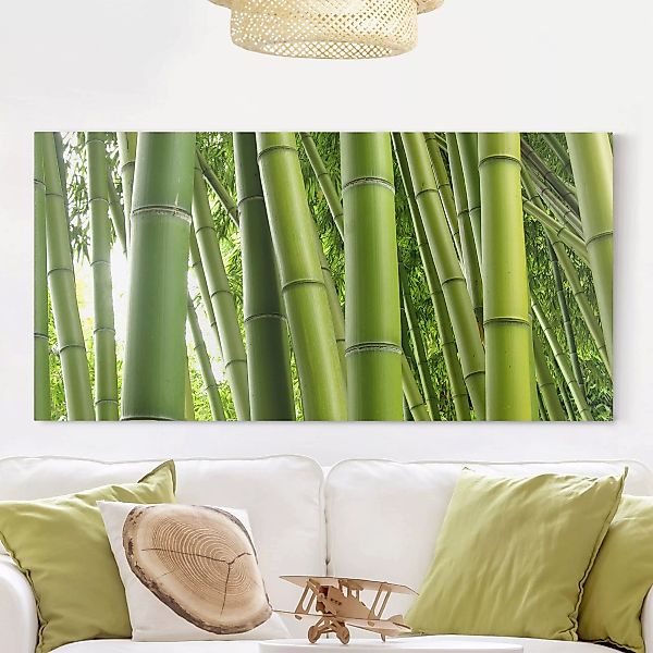 Leinwandbild Bambus - Querformat Bamboo Trees günstig online kaufen