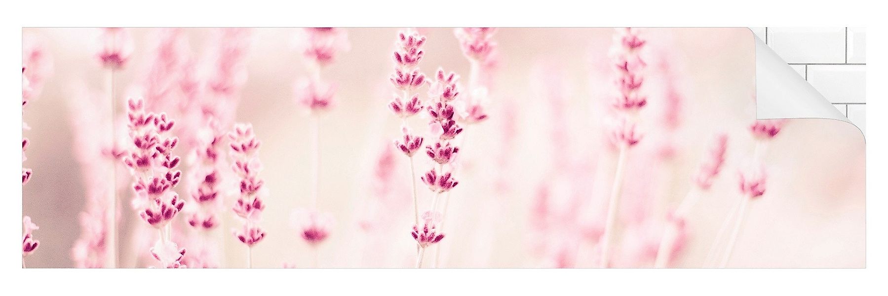 Bilderdepot24 Küchenrückwand rosa dekor Gräser Blumen günstig online kaufen