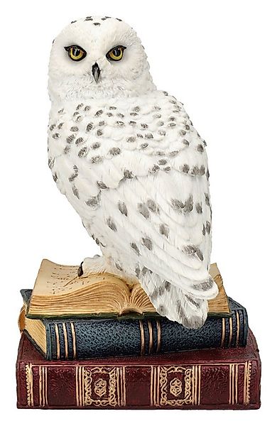 Figuren Shop GmbH Tierfigur Schneeeule Figur – Eule auf Zauberbüchern Fanta günstig online kaufen