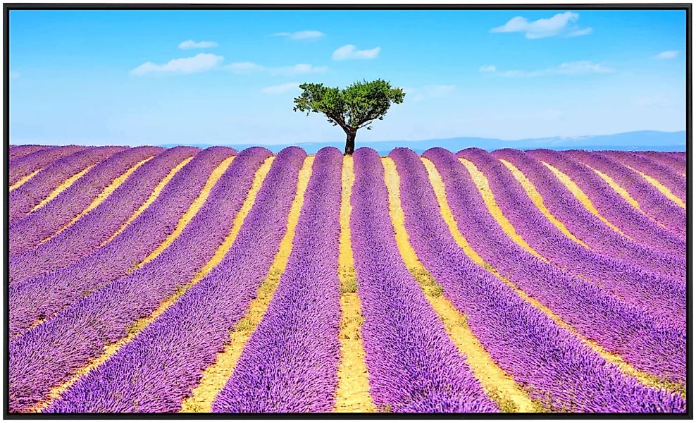 Papermoon Infrarotheizung »Lavendel in der Provence«, sehr angenehme Strahl günstig online kaufen