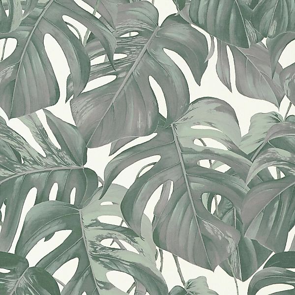 Bricoflor Monstera Tapete Weiß Grün Vlies Palmentapete im Tropical Stil Ide günstig online kaufen
