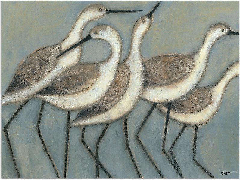 Artland Alu-Dibond-Druck "Küstenvögel II", Vögel, (1 St.), für Innen- und A günstig online kaufen