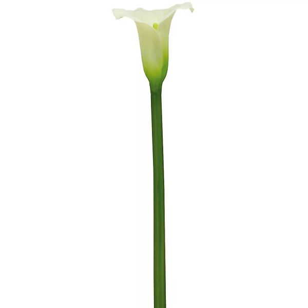 Kunstblume Calla Creme 82 cm günstig online kaufen