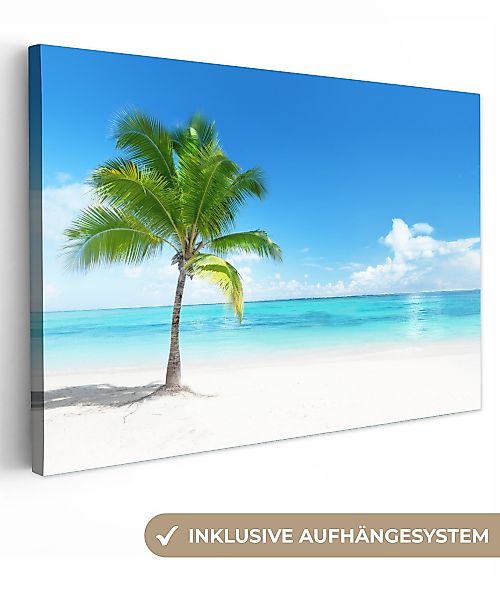 OneMillionCanvasses® Leinwandbild Palme - Strand - günstig online kaufen