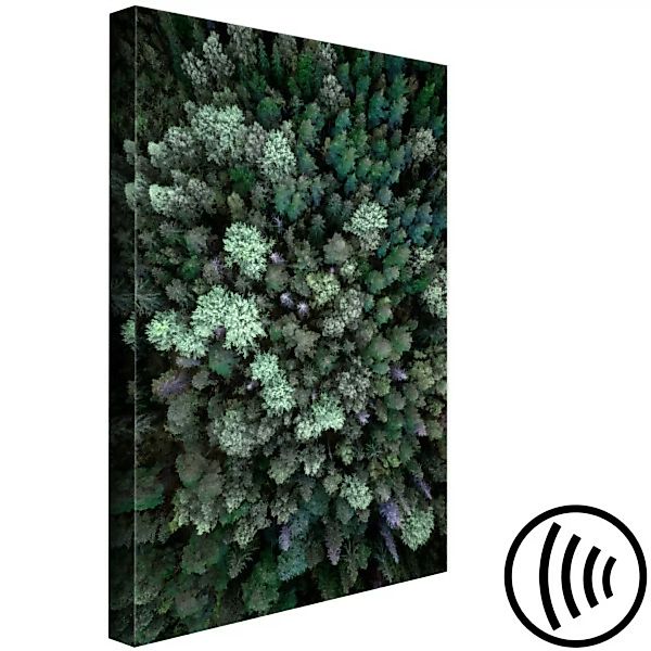 Wandbild Flying Over Forest (1 Part) Vertical XXL günstig online kaufen