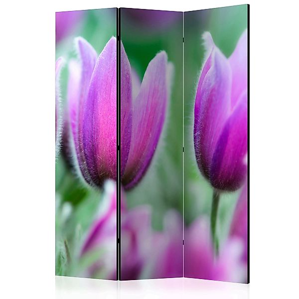 3-teiliges Paravent - Purple Spring Tulips [room Dividers] günstig online kaufen