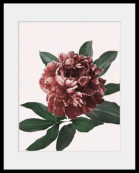 queence Bild »Corinna«, (1 St.), HD Premium Poster-Druck inkl. Holzrahmen günstig online kaufen