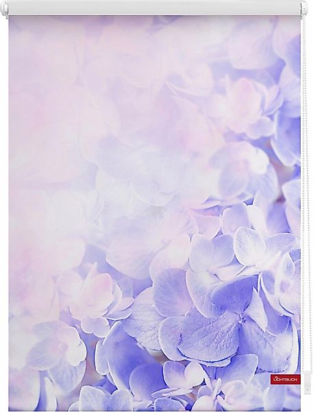 Seitenzugrollo Klemmfix Motiv Hortensie, LICHTBLICK ORIGINAL, günstig online kaufen
