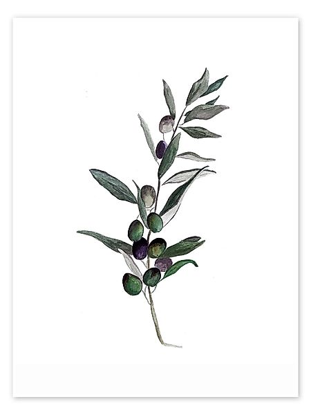 Posterlounge Poster Mantika Studio, Olive, Küche günstig online kaufen