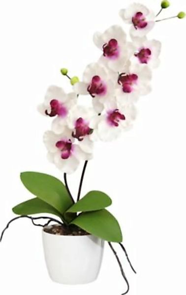 Kunstpflanze Orchidee weiß günstig online kaufen