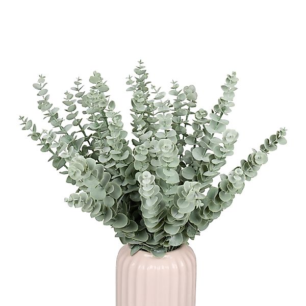 Kunstpflanze Künstlicher Eukalyptus im 36er Set günstig online kaufen