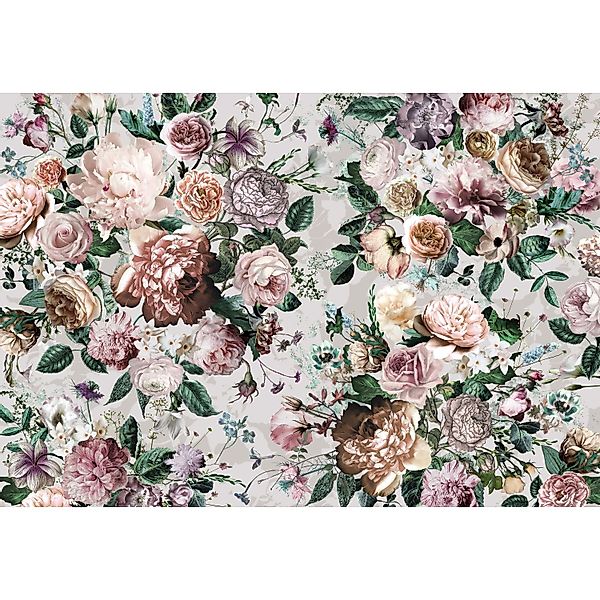 Komar Fototapete Vlies Victoria  400 x 260 cm günstig online kaufen