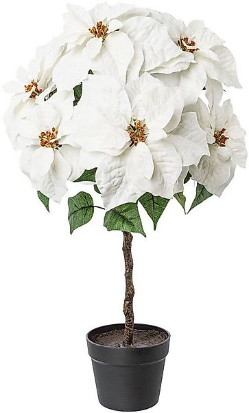 Winterliche Kunstpflanze Weihnachtsdeko Weihnachtsstern, Creativ deco, Höhe günstig online kaufen