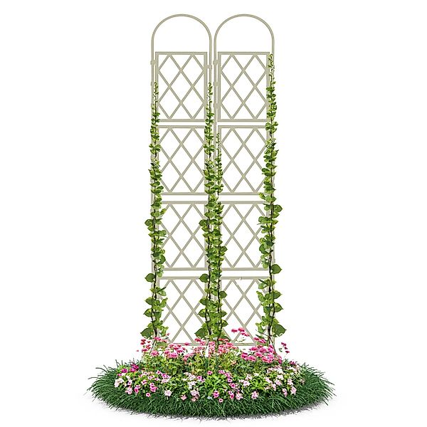 Gartenwelt Riegelsberger Rankhilfe Wandspalier mit Bogen günstig online kaufen